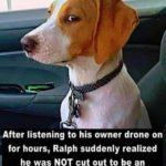 B1CE2777-8CF6-49E7-B2AC-EA043B151EC8